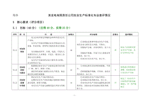 某发电有限责任公司安全生产标准化专业查评情况(表).docx