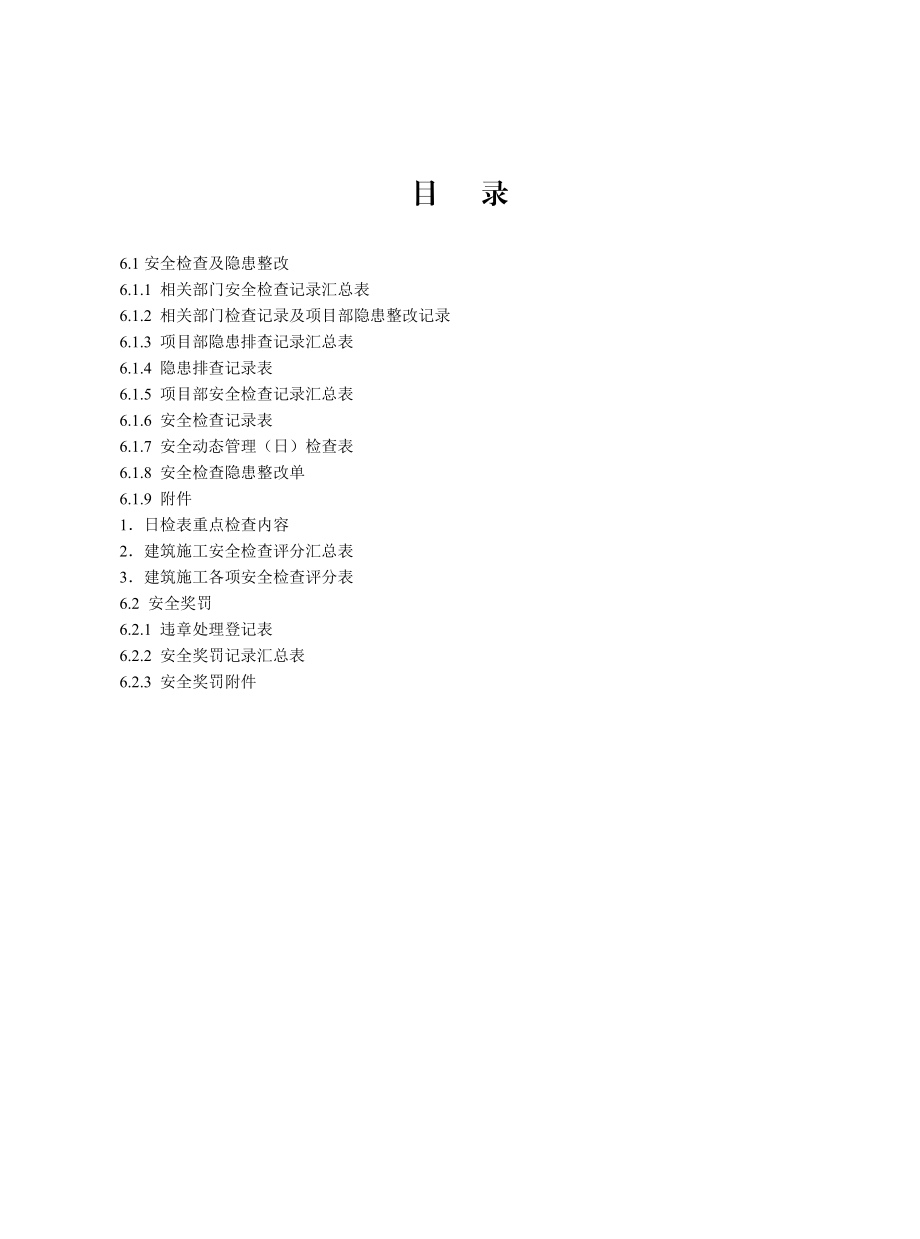 安全检查及隐患整改资料.docx_第3页