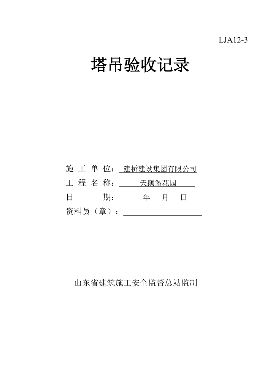 工程各类设备、设施验收及检测记录.docx_第2页