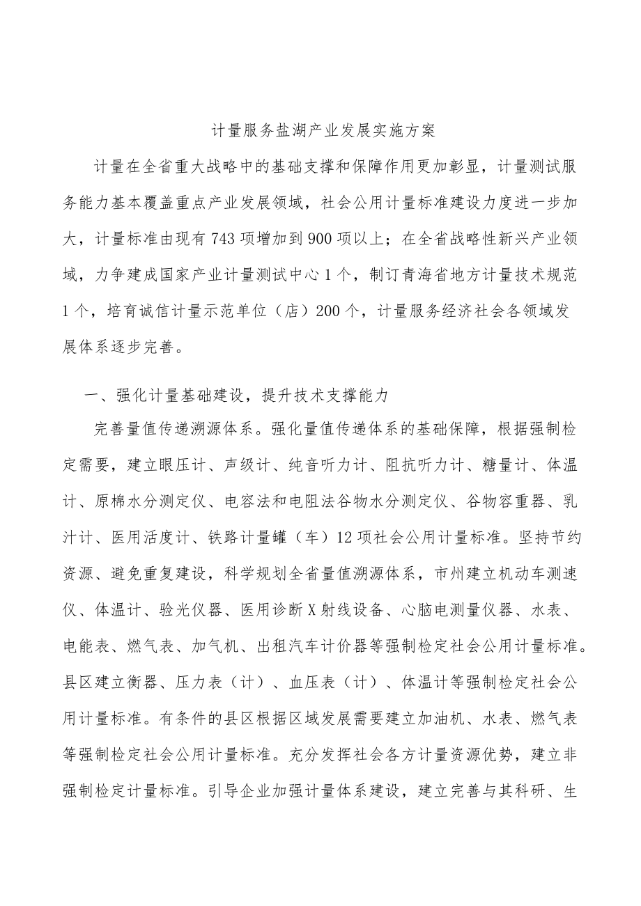 计量服务盐湖产业发展实施方案.docx_第1页