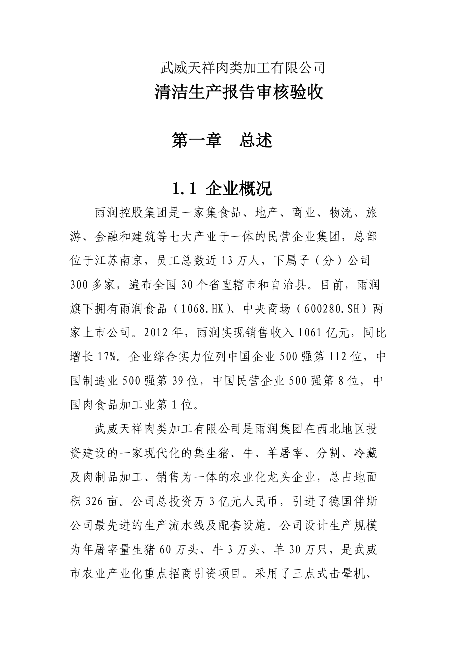 清洁生产审核验收报告.docx_第1页