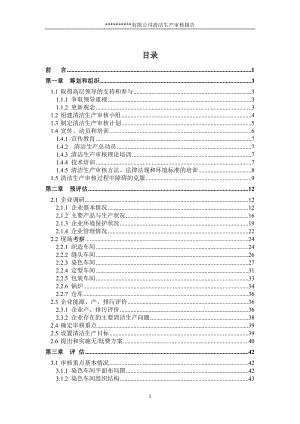 袜子清洁生产审核报告.docx