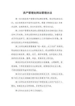 资产管理处网站管理办法.docx