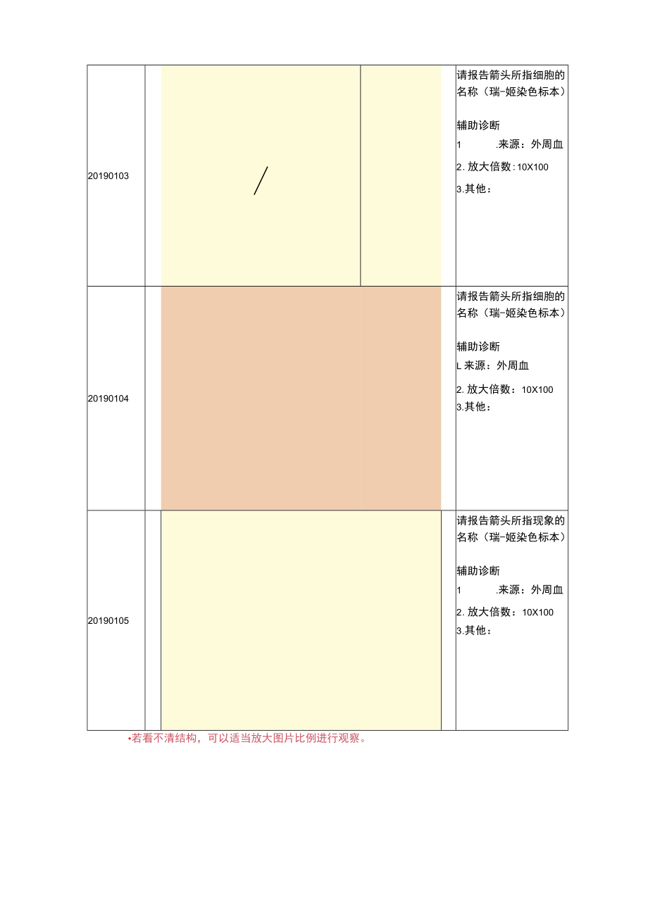 血细胞形态学名称编码.docx_第2页