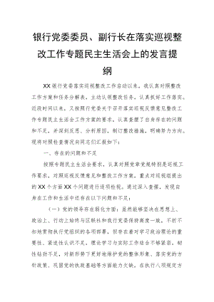 银行党委委员、副行长在落实巡视整改工作专题民主生活会上的发言提纲.docx