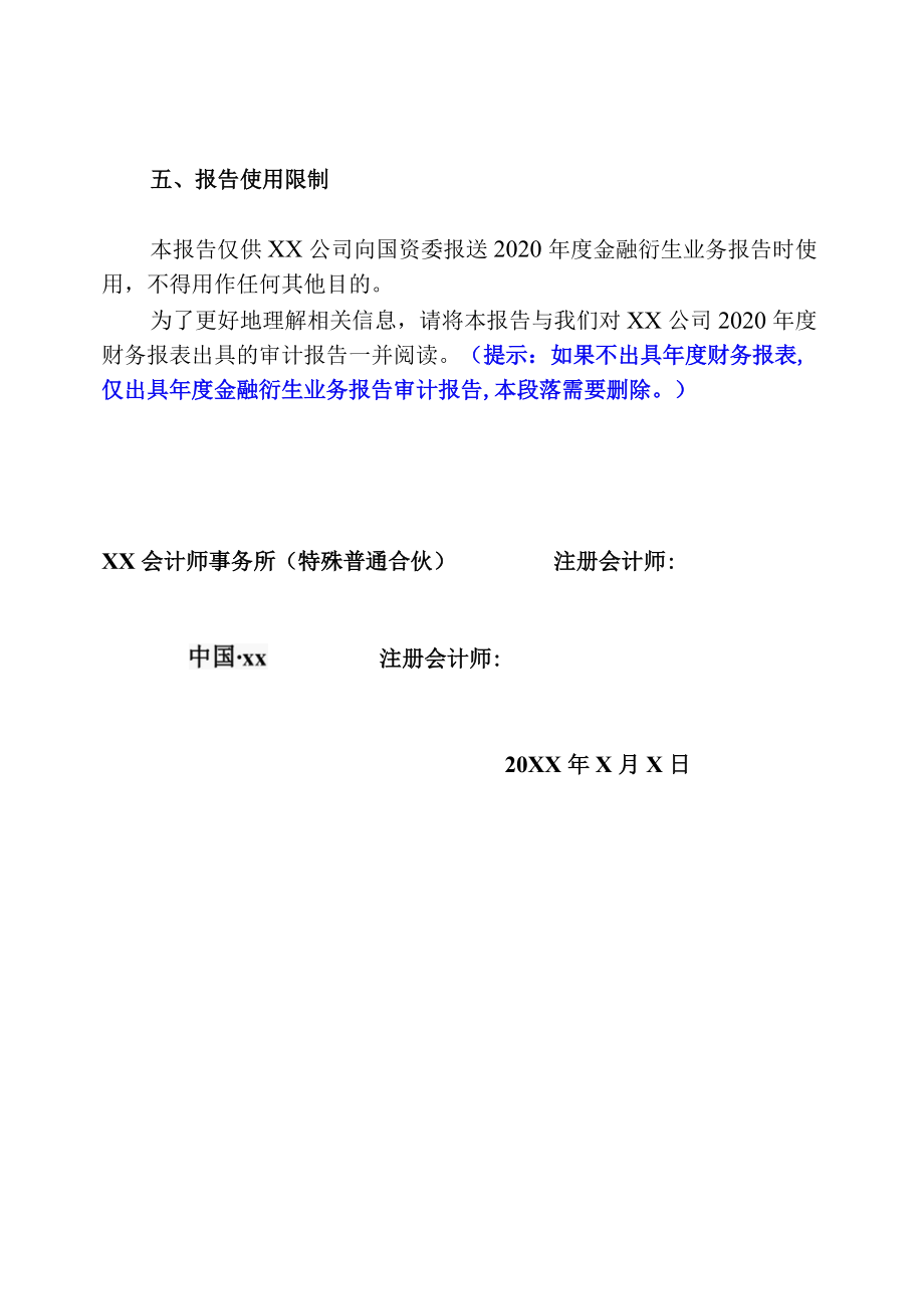 金融衍生业务专项报告审计报告.docx_第3页