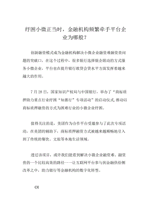 纾困小微正当时金融机构频繁牵手平台企业为哪般？.docx