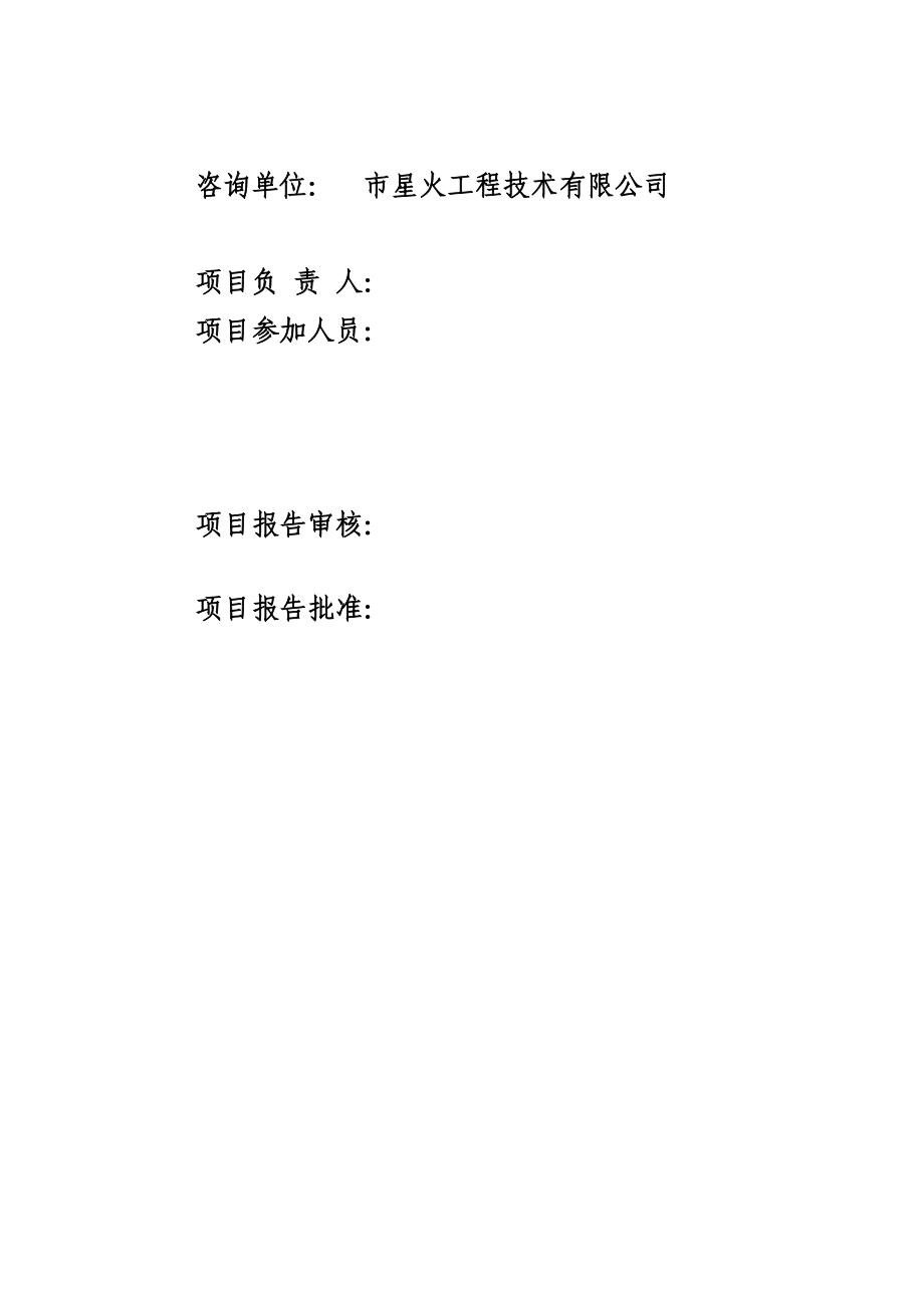 清洁生产审核报告(染料厂)doc.docx_第3页