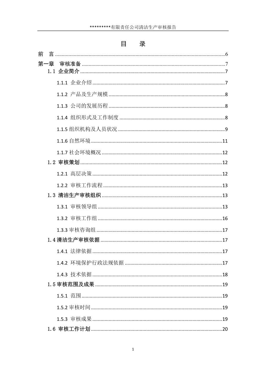 润丰公司清洁生产审核报告.docx_第1页