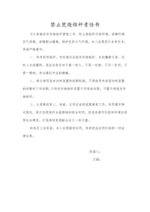 禁止焚烧秸秆责任书.docx