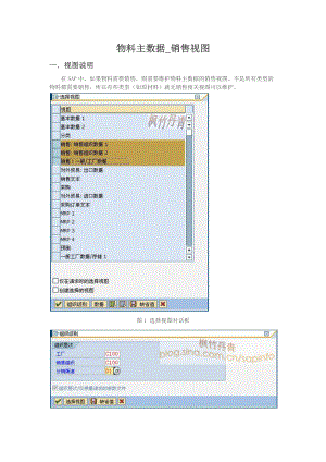 物料主数据_销售视图.docx