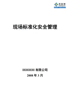 现场标准化安全管理.docx