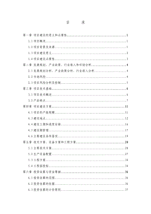 电镀车间生产线技改项目资金申请报告.docx