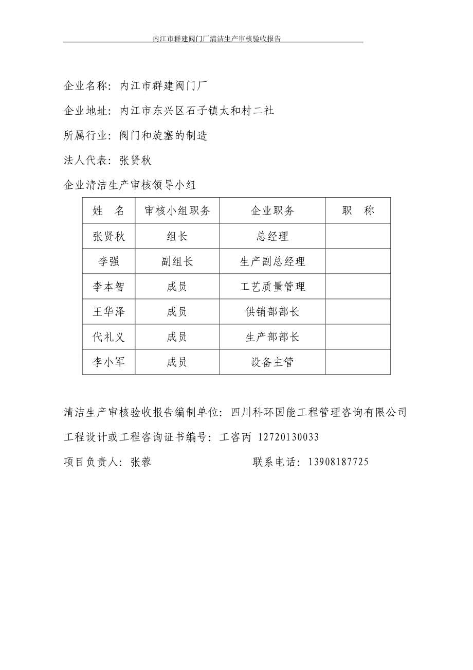 群建公司清洁生产审核验收报告.docx_第2页