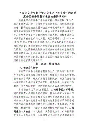 百日安全专项督导暨安全生产.docx