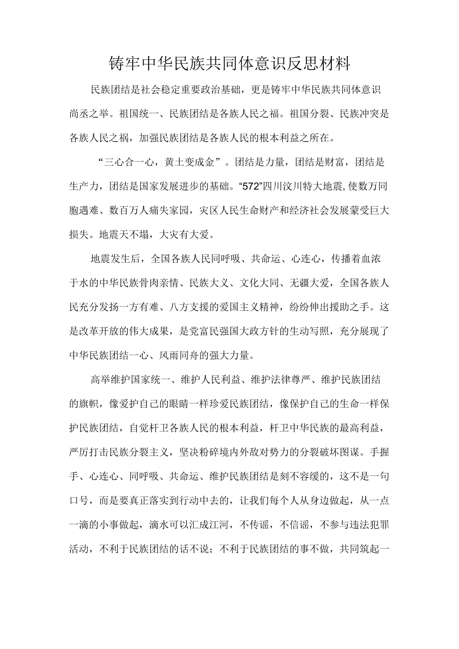 铸牢中华民族共同体意识反思材料.docx_第1页