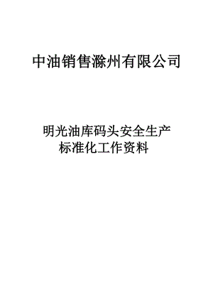 码头安全生产标准化资料.docx