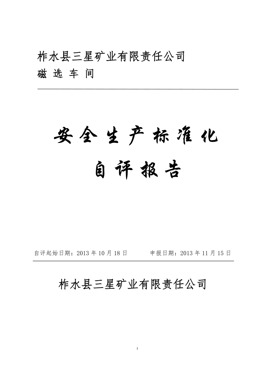 某矿业公司安全生产标准化自评报告.docx_第1页