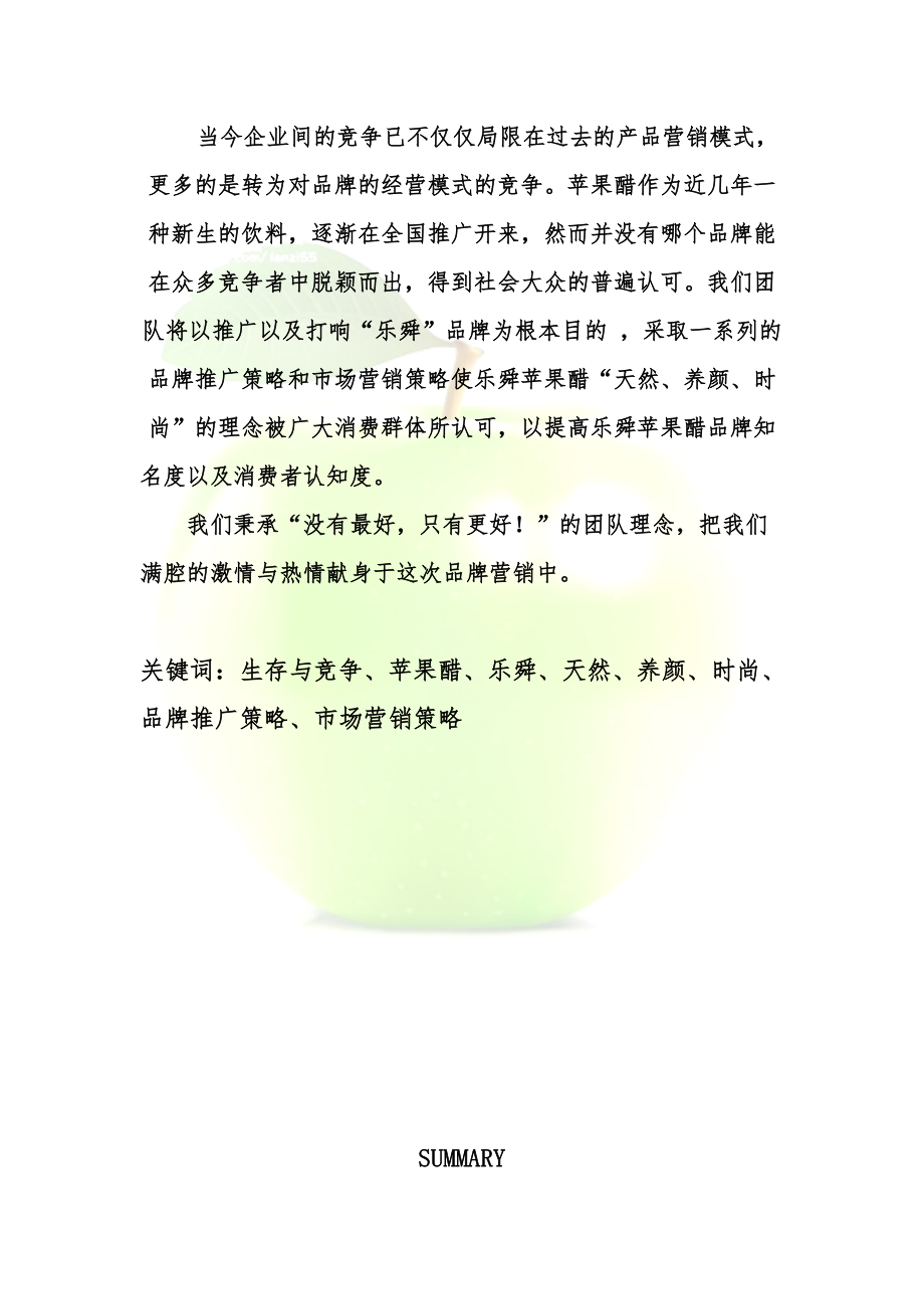 乐舜营销策划书.docx_第2页