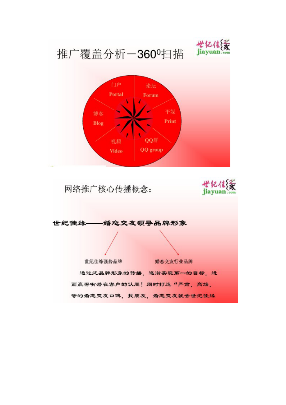 世纪佳缘营销推广建议案.docx_第3页