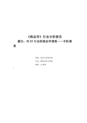 商品学IT产业报告.docx