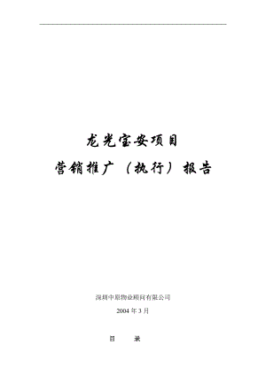 媒体策略及营销推广报告.docx