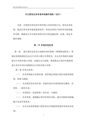 商业银行对公授信业务审查审批操作规程.docx