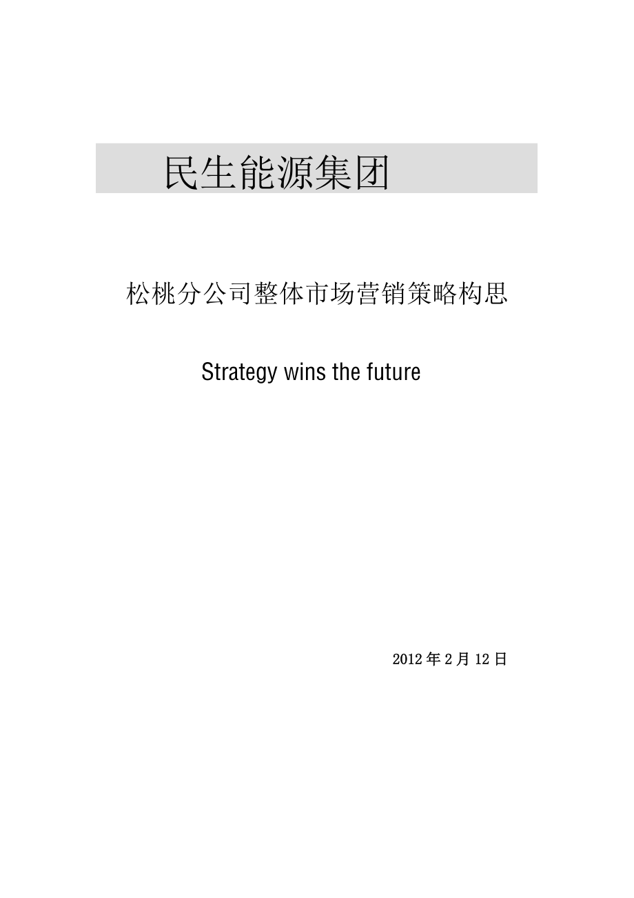 某公司整体市场营销策略构思.docx_第1页