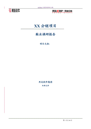 分销项目管理研究报告.docx