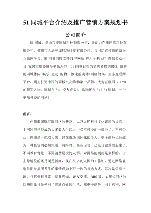 同城介绍及推广营销方案规划书.docx