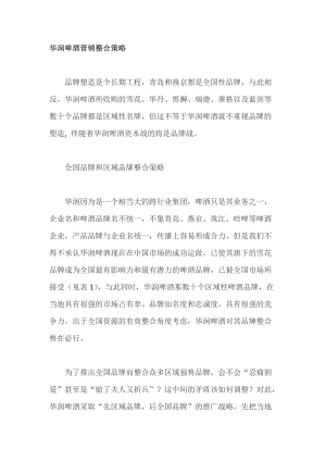 某某啤酒营销整合策略.docx