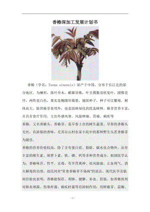 农副产品营销策划香椿深加工发展计划书范本.docx