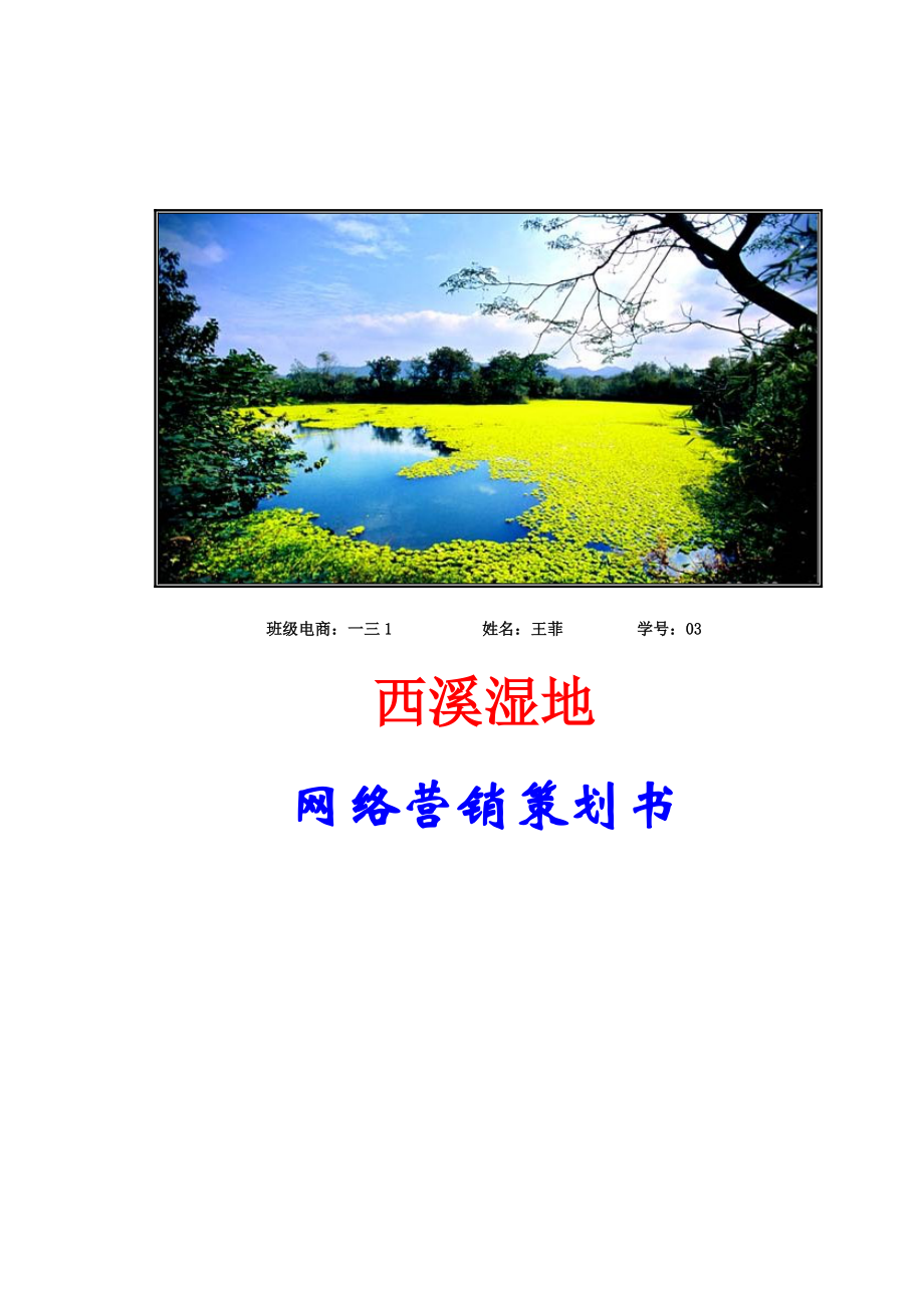 某湿地网络营销策划书.docx_第1页