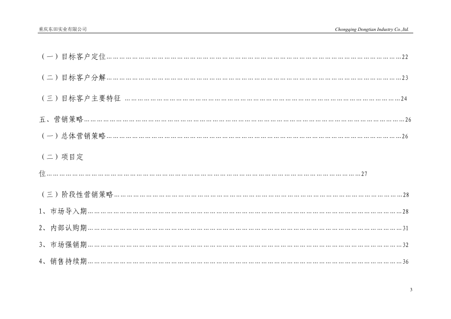 某实业公司营销推广报告.docx_第3页