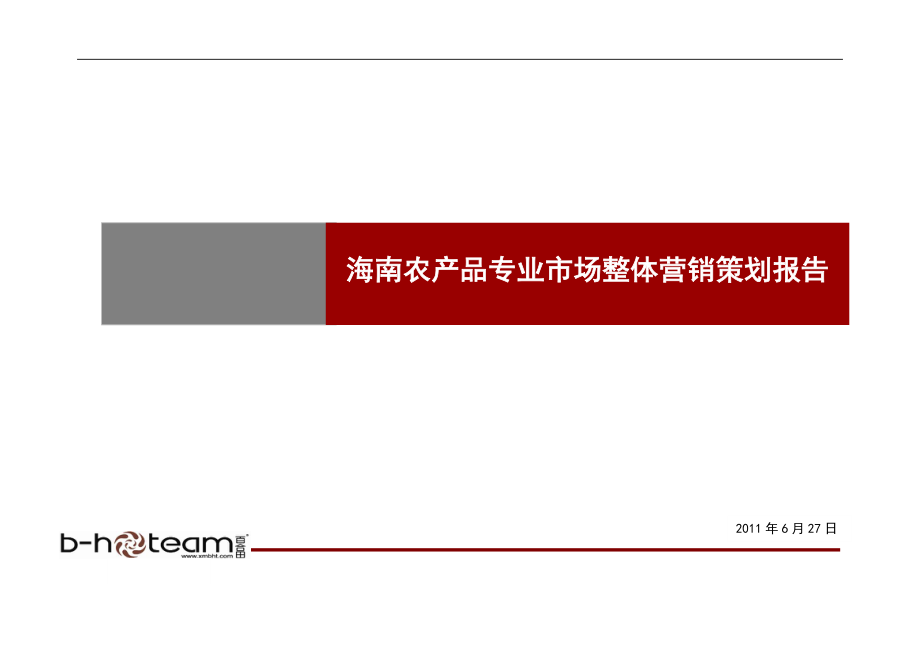 海南农贸专业市场之整体营销策划报销售推广策略.docx_第1页