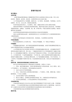 公司营销环境分析.docx