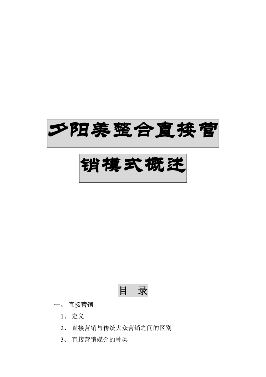 某公司整合直接营销模式概述分析.docx_第1页