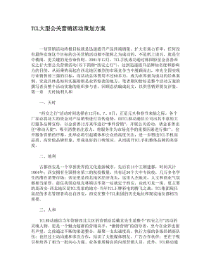 某电子集团大型公关营销活动策划方案.docx