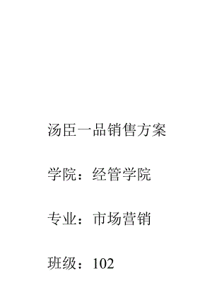 汤臣一品的销售方案.docx