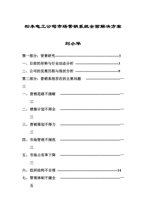 松本电工市场营销系统全面解决方案.docx