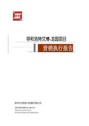 某项目营销执行报告.docx