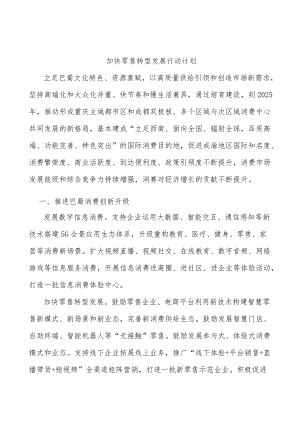 加快零售转型发展行动计划.docx