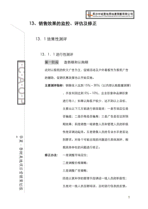 某某房地产公司项目营销策划报告.docx