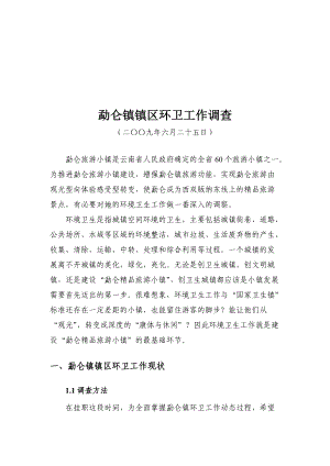 关于勐仑镇镇区环卫工作的调查.docx