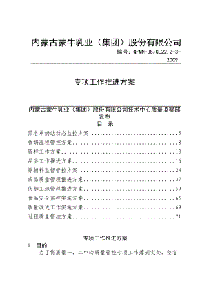 某某乳业集团专项工作推进方案.doc