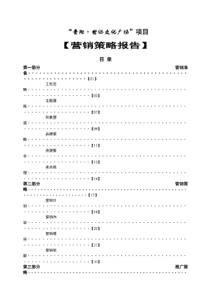 世纪文化广场商业项目营销策略报告（定稿）.docx