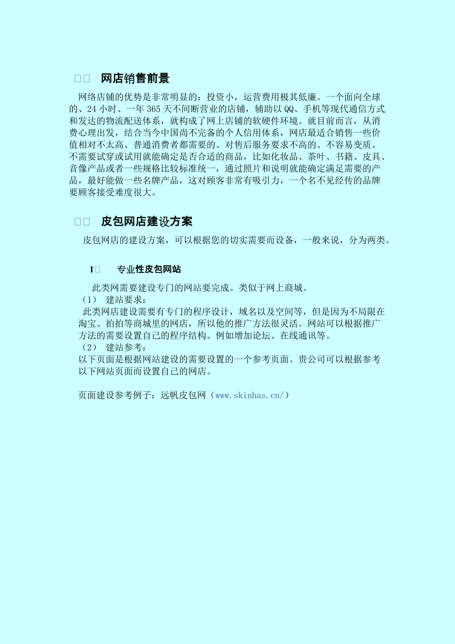 淘宝网店的销售方案样例.docx_第2页