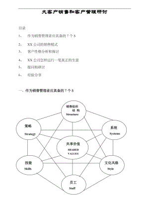 某某公司销售策略模式.docx