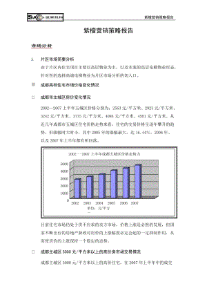 某房地产公司项目营销策略报告.docx