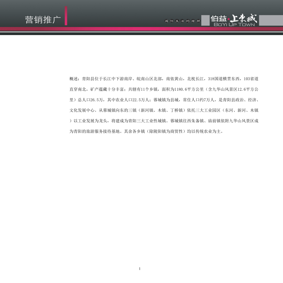 三线城市营销方案.docx_第1页